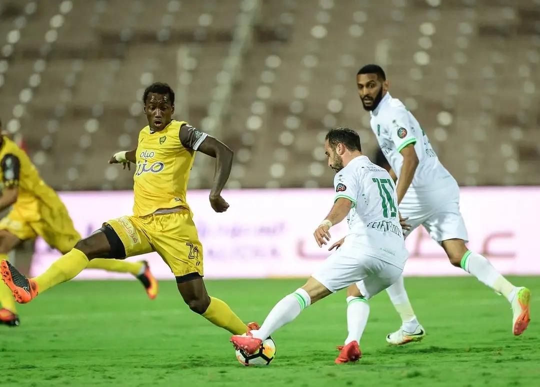 دوري المحترفين