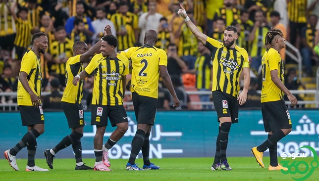 دوري المحترفين