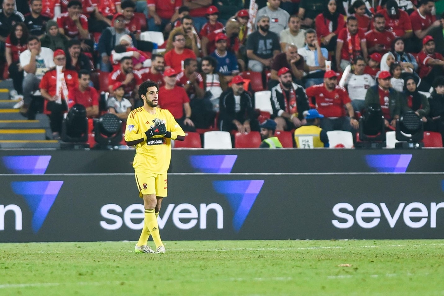 مصطفى شوبير