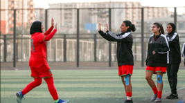 دوري الكرة النسائية