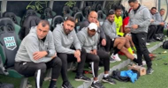 أسامة نبيه
